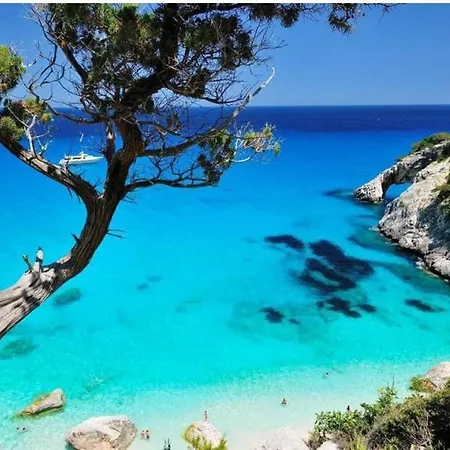 Casa Vacanze Il Bougainvillea Apartamento Àrbatax